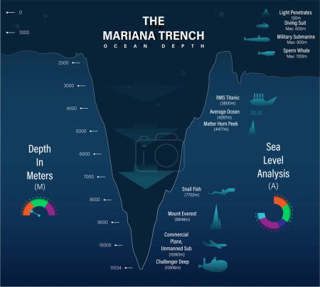 Illustration for Vector mariana trench sea illustration, infographics or analysis, depth of ocean - Royalty Free Image