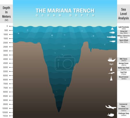 Vector cartoon style mariana trench sea illustration, infographics, analysis, depth of ocean