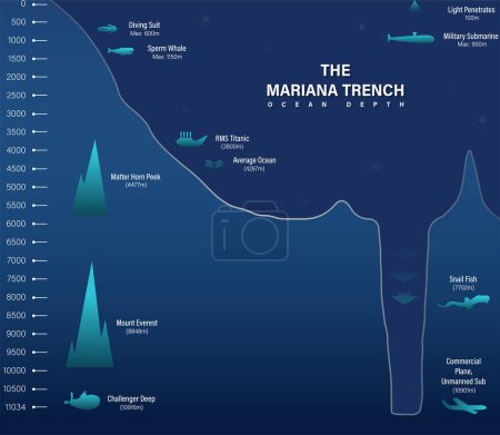 Vector mariana trench sea illustration, infographics or analysis, depth of ocean
