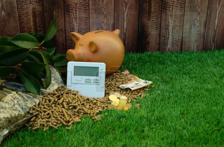Téléchargez les photos : In the photograph you can see a sack of pellets spilled on a grass floor, and a background of a wooden fence, there is a thermostat, euro bills, euro coins, and a piggy bank. - en image libre de droit