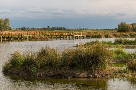 En la fotografía se puede ver un puente de madera sobre el lago de un parque natural.