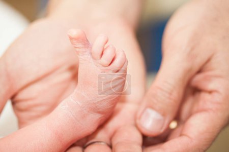 Foto de Primer plano de un pie recién nacido y las manos de su padre en el hospital el día de su nacimiento - Imagen libre de derechos