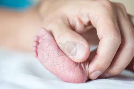 Foto de Primer plano de un pie recién nacido y las manos de su padre en el hospital el día de su nacimiento - Imagen libre de derechos