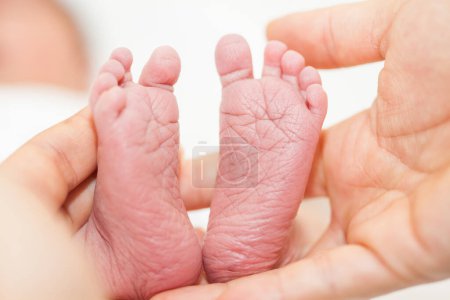 Foto de Primer plano de los pies recién nacidos y las manos de su padre en el hospital el día de su nacimiento - Imagen libre de derechos