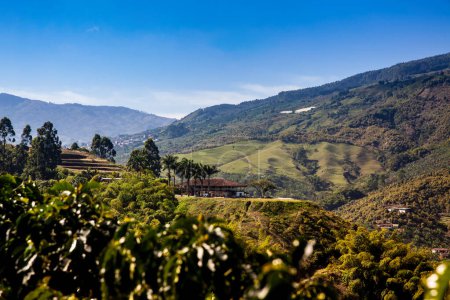 Die wunderschöne Kaffee-Kulturlandschaft Kolumbiens wurde 2011 zum Weltkulturerbe erklärt