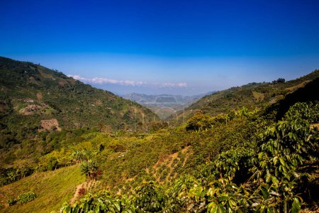 Die wunderschöne Kaffee-Kulturlandschaft Kolumbiens wurde 2011 zum Weltkulturerbe erklärt