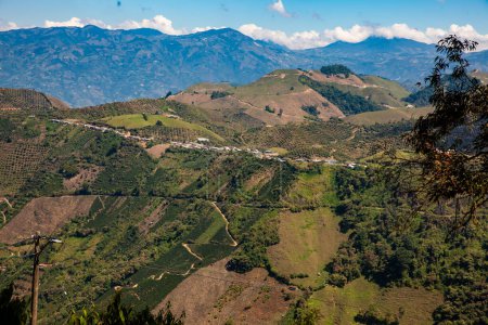 Coffee cultural landscape. Beautiful mountains of the Central Ranges in the municipality of Aguadaslocated on the department of Caldas in Colombia.