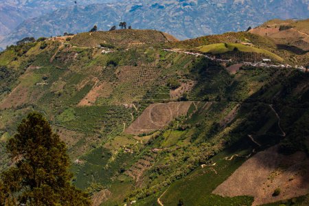 Kaffee-Kulturlandschaft. Schöne Berge der Central Ranges in der Gemeinde Aguadasgelegen im Departement Caldas in Kolumbien.