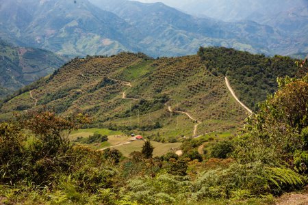 Coffee cultural landscape. Beautiful mountains of the Central Ranges in the municipality of Aguadaslocated on the department of Caldas in Colombia.