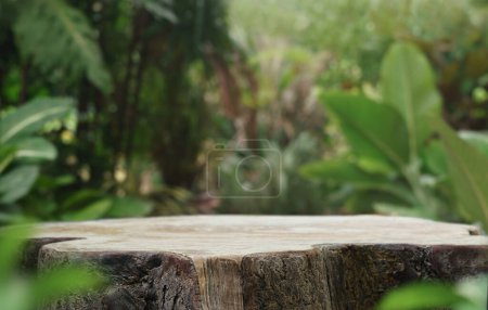 Téléchargez les photos : Empty table top wooden counter podium in outdoor tropical garden forest blurred green plant background with space.organic product present natural placement pedestal display,spring and summer concept. - en image libre de droit