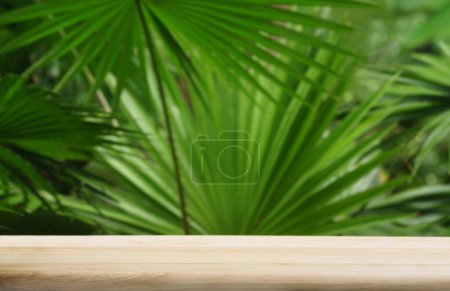 Téléchargez les photos : Empty top table pine wood podium texture in tropical outdoor garden green plant blur background with copy space.organic healthy natural product present promotion display,nature forest jungle design. - en image libre de droit