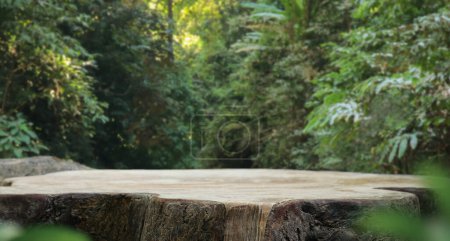 wood table top podium in outdoors green lush tropical forest nature background.organic healthy natural product present placement pedestal counter display,website banner cover jungle concept.