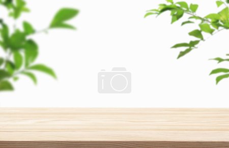 Téléchargez les photos : Plancher de table podium en bois avec branche d'arbre feuille verte sur fond blanc. Beauté cosmétique et sain placement de produits naturels plate-forme de piédestal présentoir stand affichage, printemps ou concept d'été. - en image libre de droit