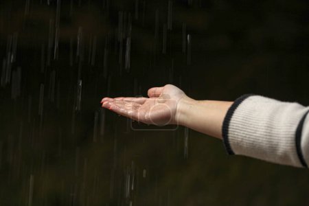 Foto de Imagen de gotas de lluvia cayendo en las manos de una mujer en una temporada de otoño. Foto de alta calidad - Imagen libre de derechos