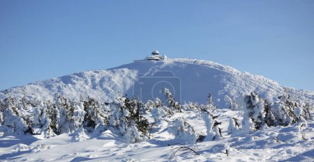 Téléchargez les photos : Le sommet enneigé de la montagne Snezka dans les monts Krkonose par une journée ensoleillée en hiver. La plus haute montagne des montagnes géantes, Pologne, République tchèque, Europe - en image libre de droit