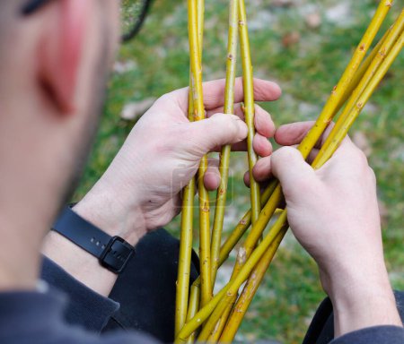 Close-up of hands of Caucasian man braiding an Easter whip from willow twigs, a traditional Czech and Slovak symbol of Easter, used by boys to carol on Easter Monday.