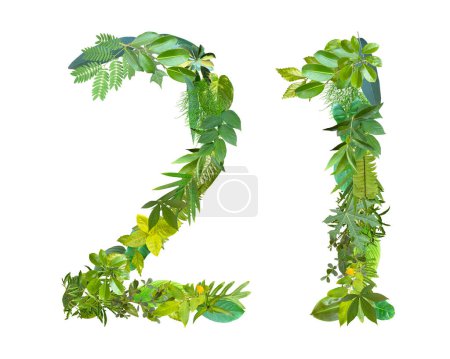 Téléchargez les photos : La forme du numéro 21 est faite de différents types de feuilles isolées sur fond blanc. convient pour les modèles d'anniversaire, d'anniversaire et de jour commémoratif - en image libre de droit