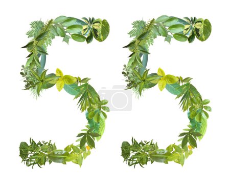 Foto de La forma del número 55 está hecha de varios tipos de hojas aisladas sobre fondo blanco. adecuado para plantillas de cumpleaños, aniversario y día conmemorativo - Imagen libre de derechos