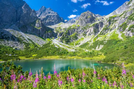 Photo for Mountain lake Zelene Pleso in Tatra mountains in Slovakia - Royalty Free Image