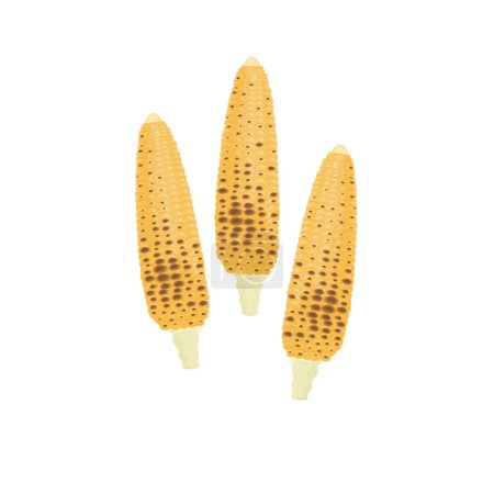 Ilustración de Delicioso logotipo de ilustración de vectores de maíz asado - Imagen libre de derechos