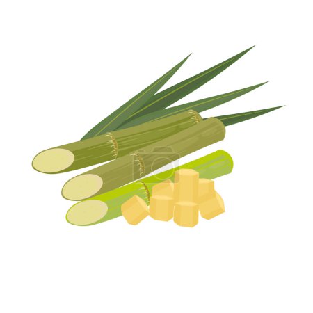 Illustration for Logo Illustration of Fresh Sugarcane Slices - Royalty Free Image