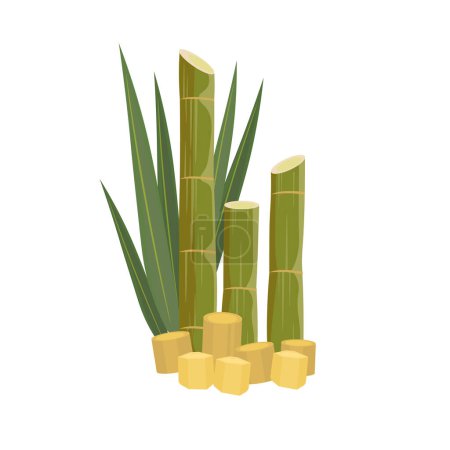 Illustration for Natural Fresh Sugarcane Vector Illustration Logo - Royalty Free Image