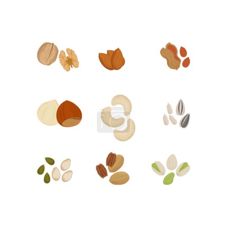 Ilustración de Logo de ilustración de frutos secos y semillas - Imagen libre de derechos