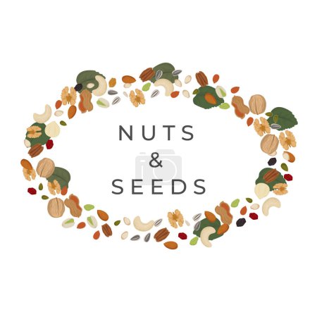 Ilustración de Logo ilustración de frutos secos y semillas de fondo ovalado - Imagen libre de derechos