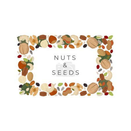 Ilustración de Logo ilustración frutos secos y semillas fondo cuadrado - Imagen libre de derechos