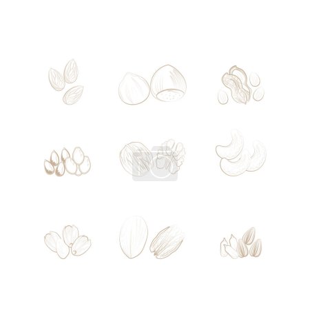 Ilustración de Logo ilustración Línea de arte de frutos secos y semillas - Imagen libre de derechos