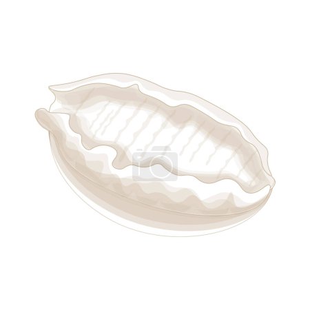 Vector Illustration logo Simple line art abalone