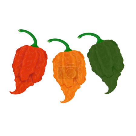 Logo Illustration vectorielle Carolina Reaper en différentes couleurs