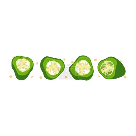 Vector Illustration logo sliced green jalapeno peppers