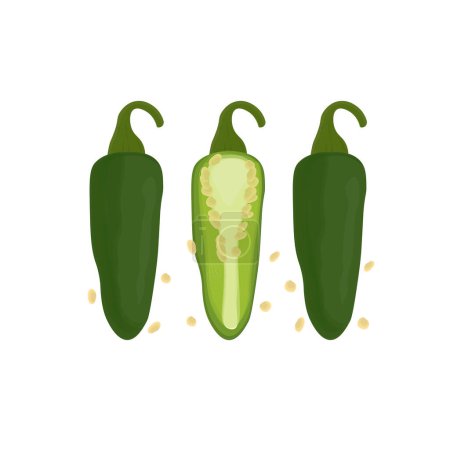 Vector Illustration logo Green jalapeno peppers