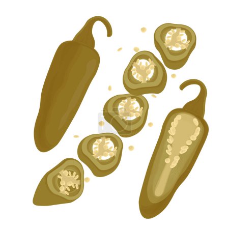 Vector Illustration logo Whole and slice Pickled jalapeno peppers