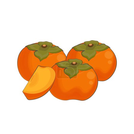 Vector ilustración logo Clip art caqui frutas