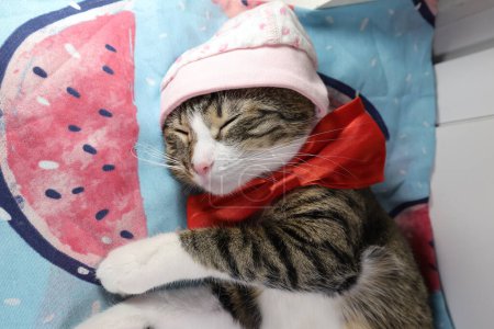 Photo for Cute Tabby Cat Has White Paws and a Pink Nose Wears a Red Bow and a Pink Baby Cap - Royalty Free Image