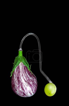 Foto de Berenjena bicolor y tomate conectados, en primer plano sobre un fondo negro. - Imagen libre de derechos