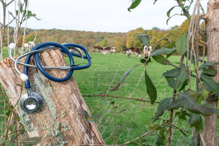 Téléchargez les photos : Stéthoscope en gros plan devant un paysage rural avec des listes dans un champ. - en image libre de droit