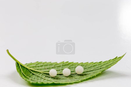 Photo for Three horizontal flat granules on a sheet - clipped white background - Royalty Free Image
