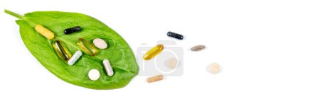 Panorama-Nahrungsergänzungsmittel und Homöopathie-Granulat.Nahrungsergänzungsmittel auf einem Blatt, das auf einer alten grauen Tafel ausgebreitet ist, von oben gesehen