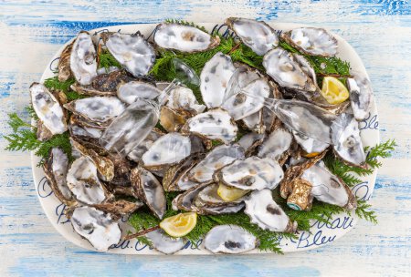 Photo for End of meal with empty oyster shells in a tray seen from above on a light blue background. - Royalty Free Image