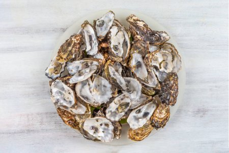 Photo for Oyster shells seen from above, gathered for these many virtues. - Royalty Free Image