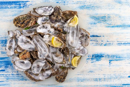 Foto de Empty oyster shell to be recycled for health, care, gardening, agriculture, cosmetics, pharmaceuticals on a blue background. . - Imagen libre de derechos