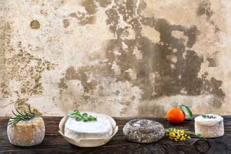 Foto de Corsican traditional varity of goat and sheep cheese on old wall background - Imagen libre de derechos