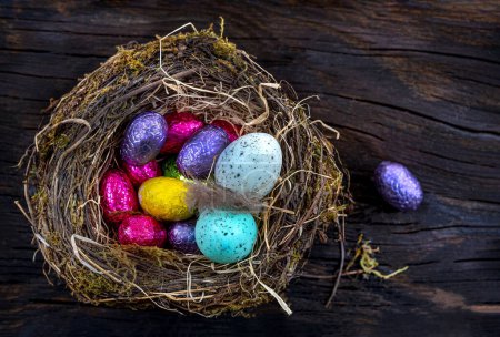 Foto de Close-up of multicolored eggs in a nest against a dark background. - Imagen libre de derechos
