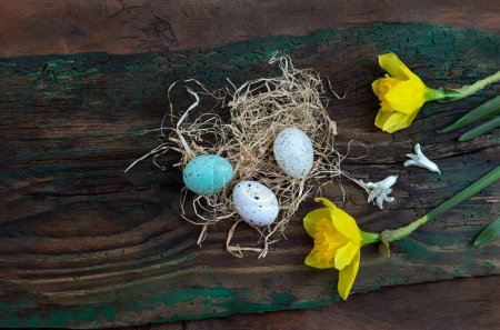 Foto de Flores vistas desde arriba con huevos verdes y blancos vistos desde arriba - Imagen libre de derechos
