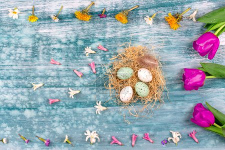 Photo for Easter eggs in a nest with all around spring flowers. - Royalty Free Image