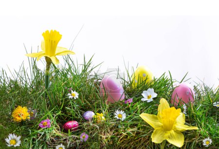 Photo for Three colored easter eggs with daisies - Royalty Free Image