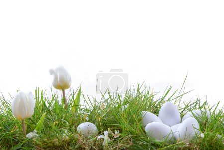 Foto de Escena de Pascua con polluelos y conejito en el prado de primavera. cielo gris - Imagen libre de derechos